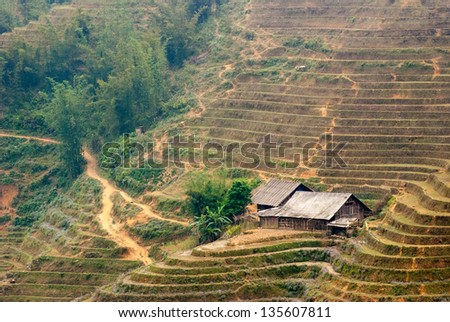 a scene of houses with terraced paddy