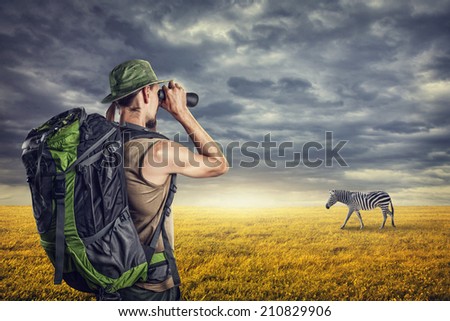 Man with binocular watching zebra in savanna at sunset sky with dramatic clouds