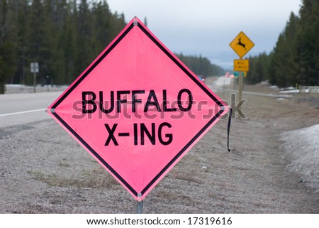 Temporary buffalo crossing sign in hot pink is perfect on dreary days like this