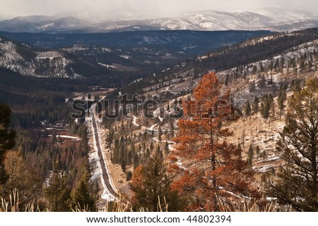 Mountain road below, mountains in the distance, snow-covered trails, and a tree killed by pine beetles in the foreground