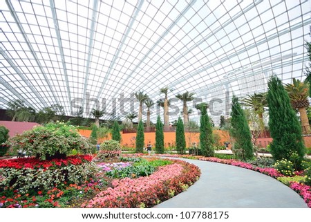 An indoor garden with flower field