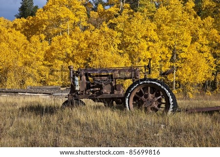 Old tractor in front of Aspen Trees turning Fall colors