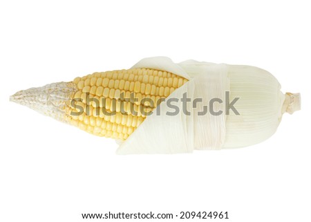 Fresh an ear of corn isolated on white