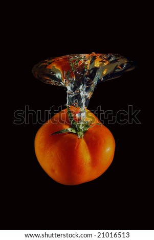 The red tomato and sparks are shined by flash at falling in water on a black background.