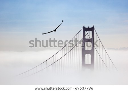 Eagle and Golden Gate Bridge, San Francisco, California