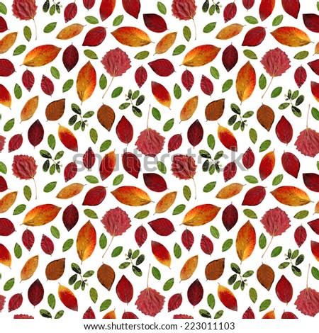 Autumn seamless pattern with bright leaves on white background for design, foliage background