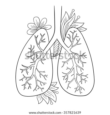 Vector Illustration Of Lungs. Doodle Drawing Of Human Organ. Decorative ...