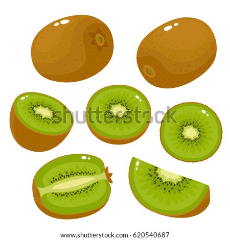 Bright vector set of colorful half, slice and whole of fresh kiwi. Fresh cartoon kiwi isolated on white background.