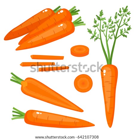 Bright vector set of colorful half, slice and whole of carrot. Fresh cartoon vegetable isolated on white background. Illustration used for magazine, book, poster, card, menu cover, web pages.
