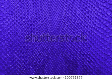 Blue python snake skin texture background. - Stock Image - Everypixel