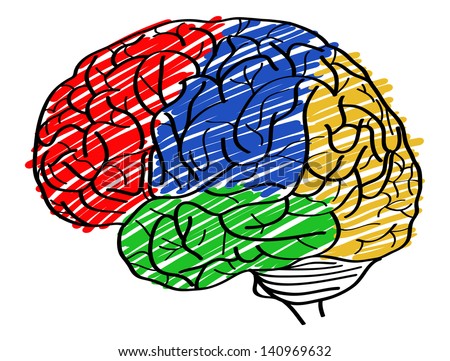 Human Brain Vector Outline Sketched Up, Vector Illustration Eps 10 ...