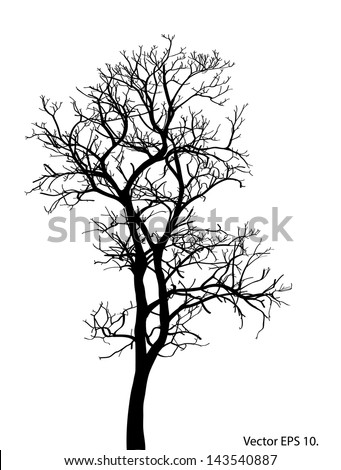 Dead Tree Without Leaves Vector Illustration Sketched, Eps 10 ...