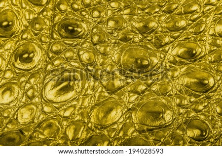 Golden Crocodile bone skin texture background. This image of Freshwater Crocodile \
