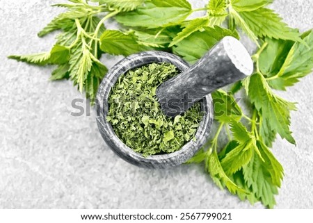 Similar – Image, Stock Photo Nettle as background