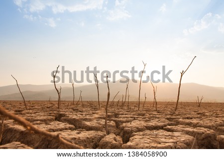 Similar – Image, Stock Photo arid Environment Nature