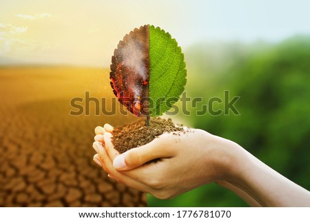 Hand holding burning leaf and Freshness of green leaf with drought and natural background metaphor fire forest and abundance of nature, Environmental and Climate change concept.