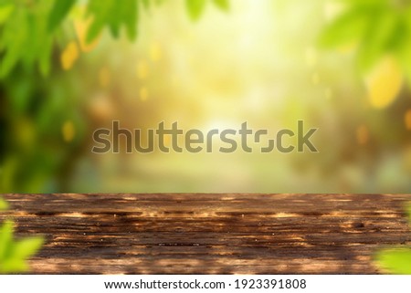Mango garden with fruits and wooden table background.