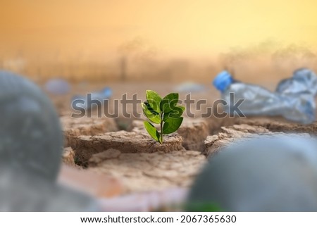 Green plant growing on dry cracked earth surrounded by waste of plastic bottle and polluted city and industry on background. Co2, Climate change and Plastic is impact to mother earth concept. Photo stock © 