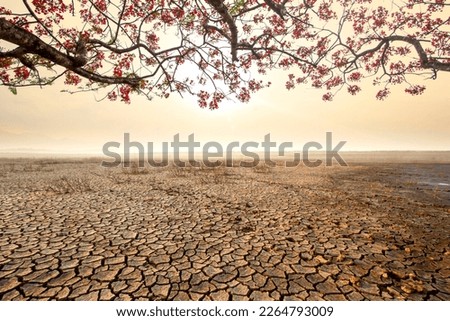 Similar – Image, Stock Photo Extreme drought Flower