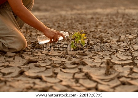 Similar – Image, Stock Photo Dry tree in high grass under starry sky