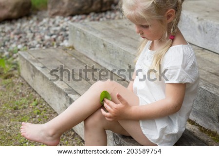 Child with small injury on knee holding plantain leaf to heal it.