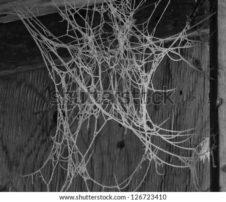 A spooky frost crystal covered spider web hanging from a corner of a wooden shed in black and white.