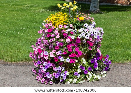 A variety of colorful summer flowers cascade out of a wooden tub set on a sidewalk for landscaping decoration.