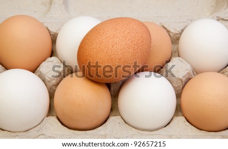 Nine free range organic eggs of different varieties resting in a recycled egg carton with a dark brown egg on top.