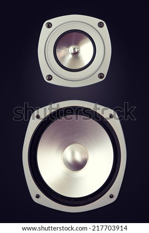 Two Way Big Audio Stereo Loud Speaker Closeup