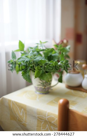Mint in a circle on the table