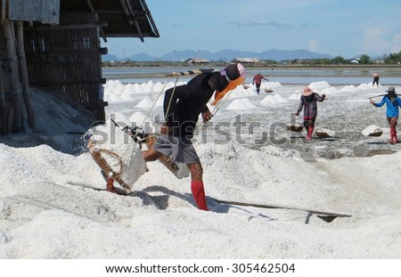 Samutsakhon,Thailand - May 16: Thai people carrying salt from Salt farming or Salt evaporation pond  on May 16 ,2015 in Samutsakhon Thailand.