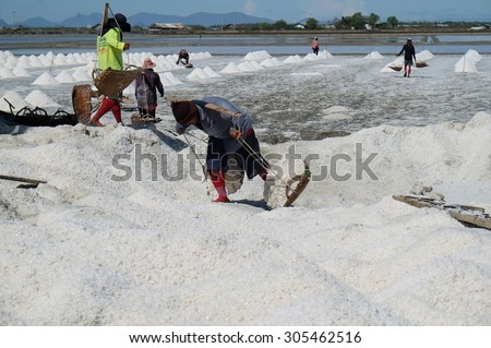 Samutsakhon,Thailand - May 16: Thai people carrying salt from Salt farming or Salt evaporation pond  on May 16 ,2015 in Samutsakhon Thailand.