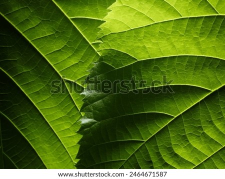 Similar – Image, Stock Photo Environment Nature