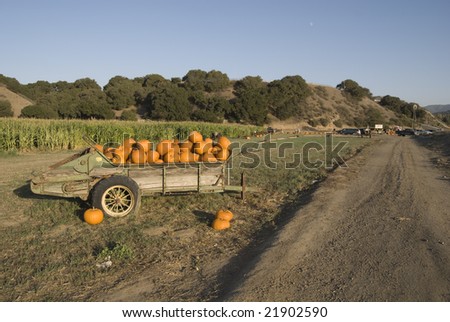 Rural California Farm