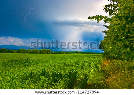 Spring landscape with a sunny weather on the right and rain on the left