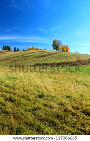Autumn field and clear blue sky vertical composition