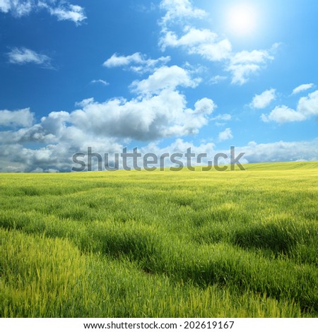 Green field and blue sky with light clouds in square frame