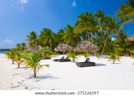 Paradise on earth, scenery of tropical beach on caribbean island Saona in Dominican Republic