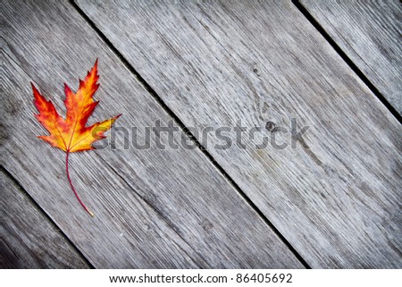 Autumn colors wood background with orange leaf