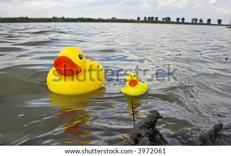 Rubber Duckies floating on water