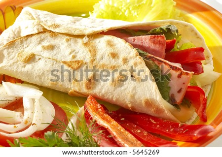 A appetizing chicken wrap with lots of vegetables and a side salad.