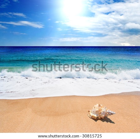 Sea landscape - sea, golden beach, the blue sky and white clouds