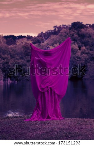 woman with beautiful dress by the lake.purple tones