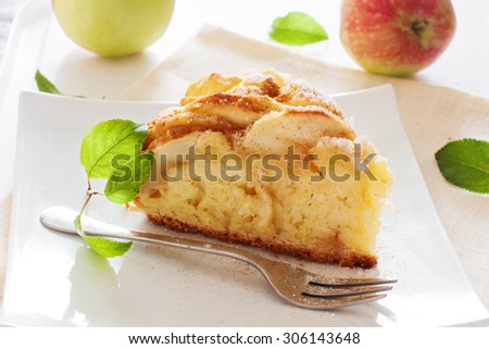 Fresh baked apple pie on white plate