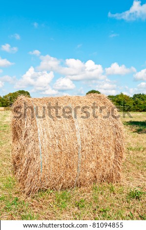 hay roll on farmland in france