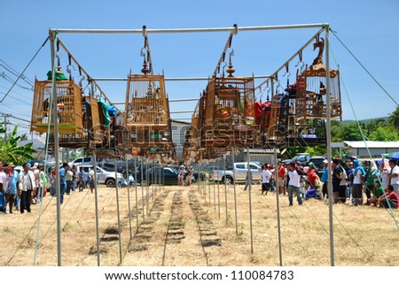 KO SAMUI,THAILAND - AUGUST 12, 2012: Row of bird cages with competitions during famous local birds sound contest on August 12, 2012 in Ko samui, Thailand