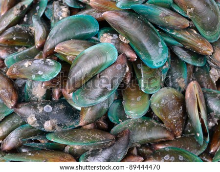 close up of raw sea food.
