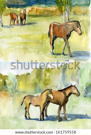 sketches of animals horses