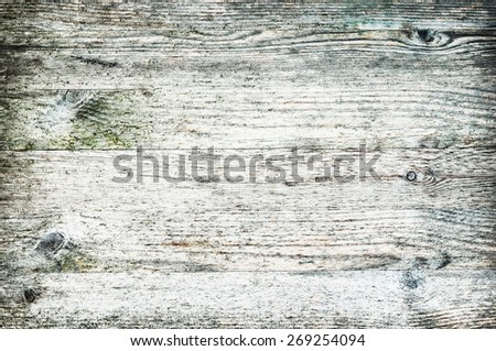 Beach wood textured background panel horizontal neat and light color bleached white