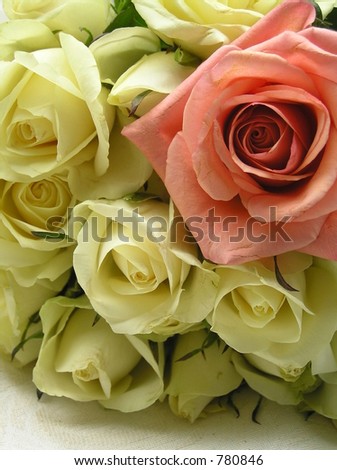 photograph of a bunch of creamy white wedding roses and one coral red rose